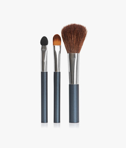 Cosmetic makeup brush set